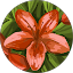 Profile photo of Brande Charnoff