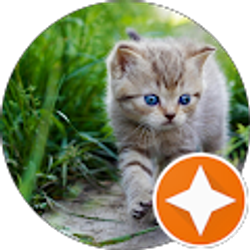 Profile photo of Kelly Andrews