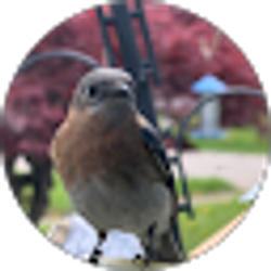 Profile photo of Karen Tavolacci