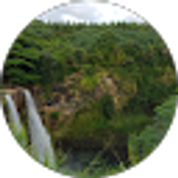 Profile photo of Kira Evrley