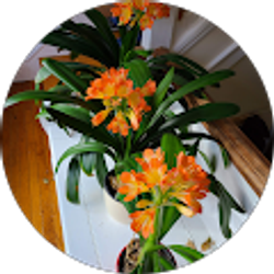 Profile photo of Kathy Wilson