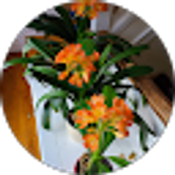 Profile photo of Kathy Wilson