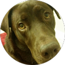 Profile photo of Hunter Tucker