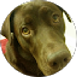 Profile photo of Hunter Tucker