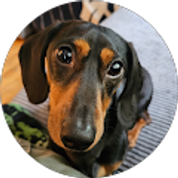 Profile photo of Mike Thompson