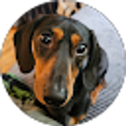 Profile photo of Mike Thompson