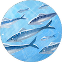 Profile photo of Zuhelly Merino