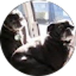 Profile photo of Lynn and Kenny Rockney Finger