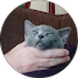 Profile photo of darell meeks