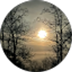 Profile photo of Misty Stewart