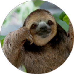 Profile photo of Kevin L