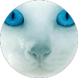 Profile photo of Michelle Schiro