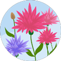 Profile photo of Mary Knight