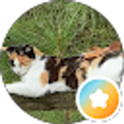 Profile photo of Nana G