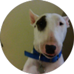 Profile photo of Sergio Temblador