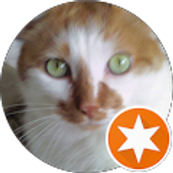 Profile photo of Maureen Vergeson