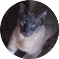 Profile photo of Diana Brooks