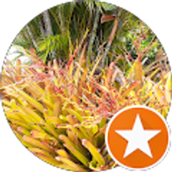 Profile photo of pamela Blasie (pamela1869)