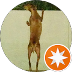 Profile photo of Todd B