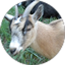 Profile photo of Sk Clark-Will