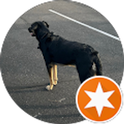 Profile photo of Teresa Garner