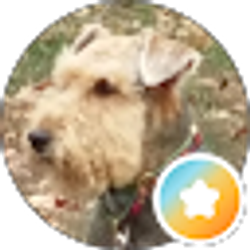 Profile photo of MultiChef90
