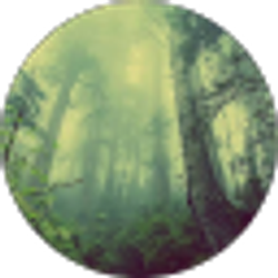Profile photo of joannacs