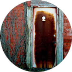 Profile photo of Carrie Warnock