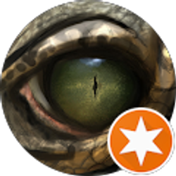 Profile photo of Fireking 10