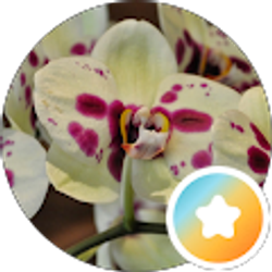Profile photo of Mel F