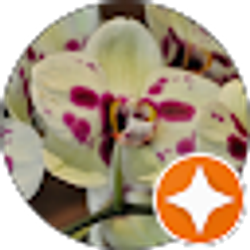 Profile photo of Mel F