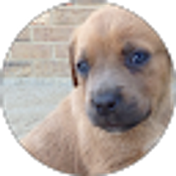 Profile photo of Catherine Johnson