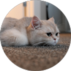 Profile photo of Alexander Jiang