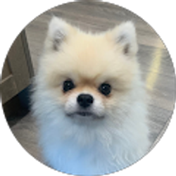 Profile photo of William Stetler