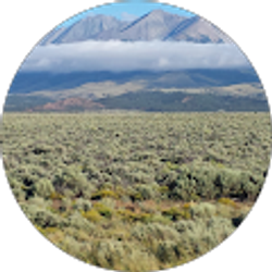 Profile photo of Sharon Chacon