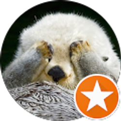 Profile photo of Eric Y.