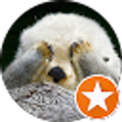 Profile photo of Eric Yee