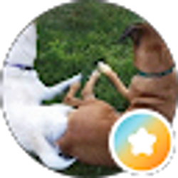 Profile photo of Kraig B.
