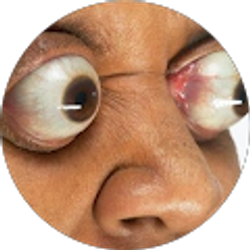 Profile photo of Sir LeRoyale