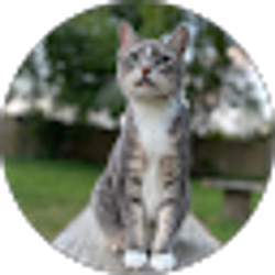 Profile photo of Jennifer Mau