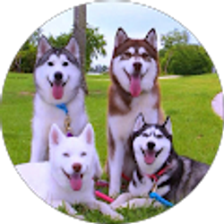 Profile photo of Maria Rodriiguez