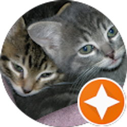 Profile photo of Kris Wells