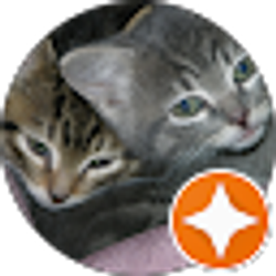 Profile photo of Kris Wells