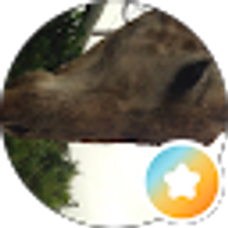 Profile photo of Paul Meyers