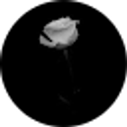 Profile photo of Noneof urbusiness
