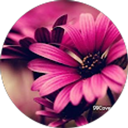 Profile photo of Fabiola Avalos