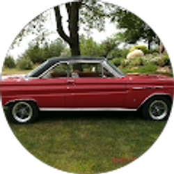 Profile photo of gary robert