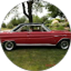 Profile photo of gary robert