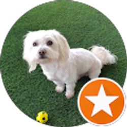 Profile photo of DeenLee A