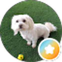 Profile photo of DeenLee A